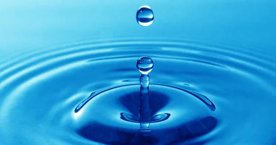A droplet of water causes a ripple.